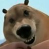 hurmwv