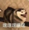 宁静致远的头像-七玩网
