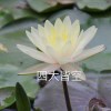 user25686150的头像-iPA资源站