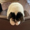 用户11844444的头像-iPA资源站