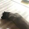 狂抽猛送三千