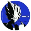 PrinceVegeta
