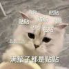 浅爱࿐