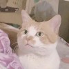 蘿兒༗࿐