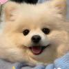君莫笑_642