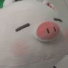 pigpigpig@