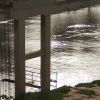 曦雪怜霜