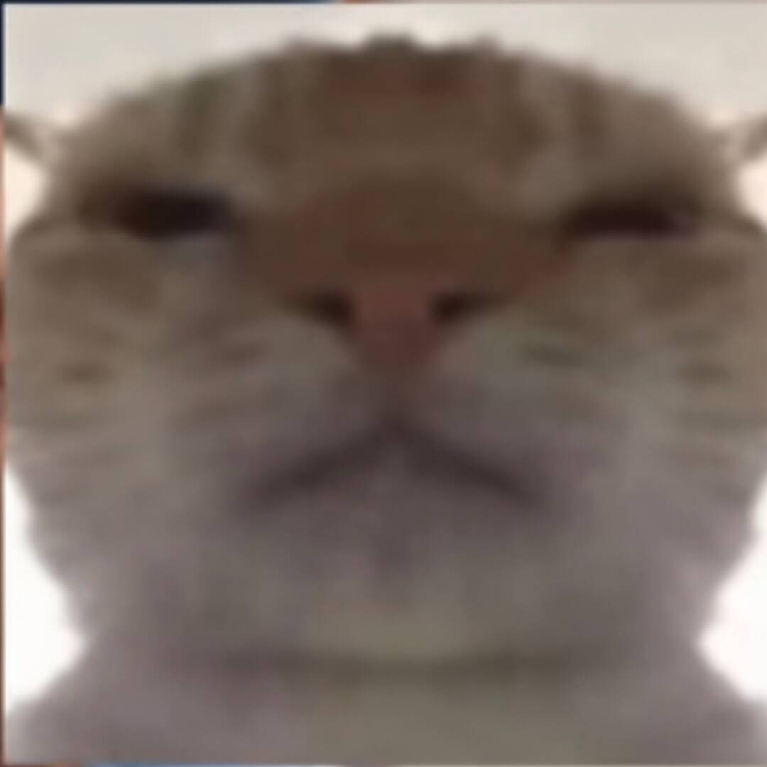 FD玉米