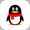 zhou的头像-E-NetDev模拟器・中文站点