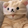 。_451
