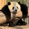 用户39431095的头像-iPA资源站
