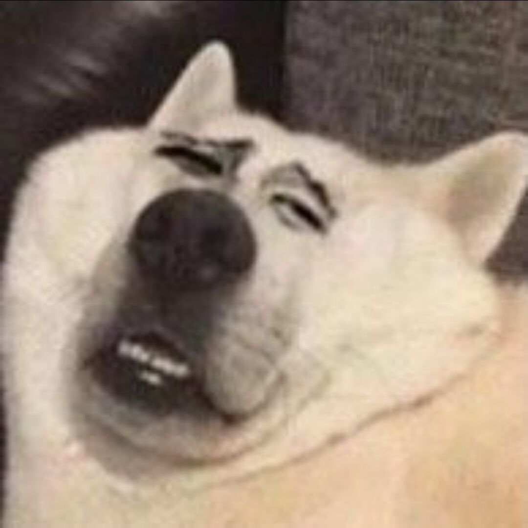 都等你