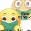 狗子哥睡大觉