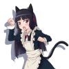†猫の右爪