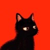 我不喜欢猫的头像-iPA资源站