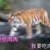 用户96811858 – 白云博客-白云博客