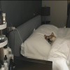 夏树_391