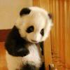 liMine的头像-懒人Blog(资源素材网)