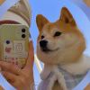 Trouva_355