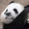 刘逗逗的头像-七日杀中文站