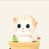 不知名的猫的头像-LSPosed中文网
