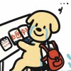 Wzy（考研版）