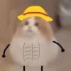 张益达最有种