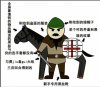 Mc乙龙