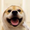 殇ベ