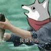 用户61503637的头像-七玩网
