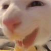 山の翁
