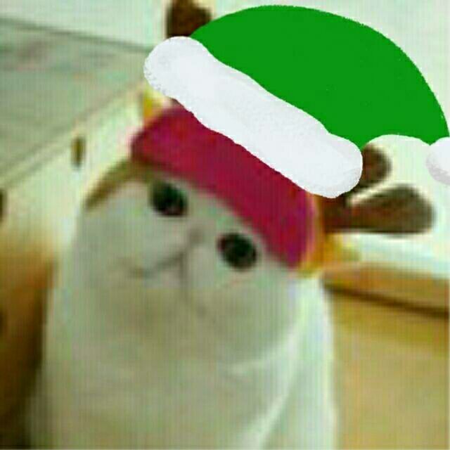　　　　　　　　_441