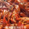 用户28702544的头像-七玩网