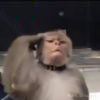 2889185321K的头像-魔酷网