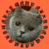 飄楓落叶