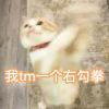 15282163795z的头像 - 极核GetShell