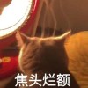 得一迪
