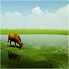 Ivan_963