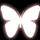 蝴蝶_132