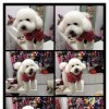 user75459981的头像-iPA资源站