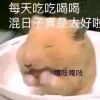 aaa555666的头像-魔酷网