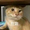 咯咯咯_576