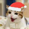 没人没人