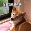 水母