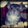 ^㈩Dear·J.
