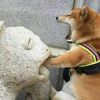 方圆几里_105