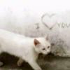 雪化清无泪