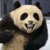 就是吃不饱圣彼得堡的头像-长游分享网