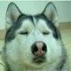 风向决定发型_778