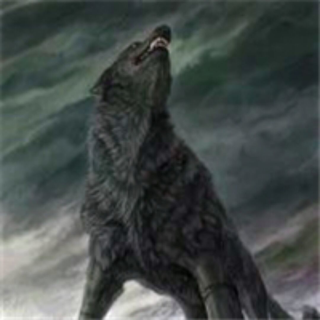 狼啸苍穹